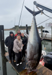 Bluefin-tuna-carolina-beach-fishing-charters-Wet-n-Wild-2-5