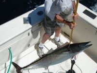 Carolina Beach Fishing Charters Photo Gallery (27)