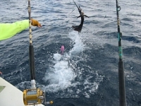 Carolina Beach Fishing Charters Photo Gallery (5)