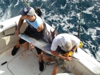 Carolina Beach Fishing Charters Photo Gallery (59)